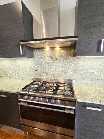 1100 W Adams Street 3N, Chicago, IL 60607