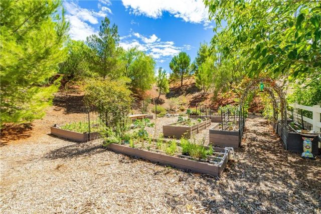 32235 Camino Canyon, Acton, CA 93510