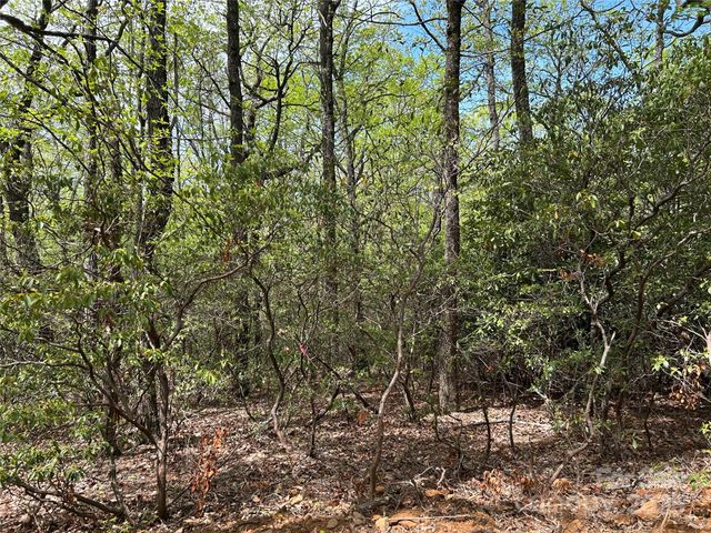 000 John Delk Road 3, Hendersonville, NC 28792