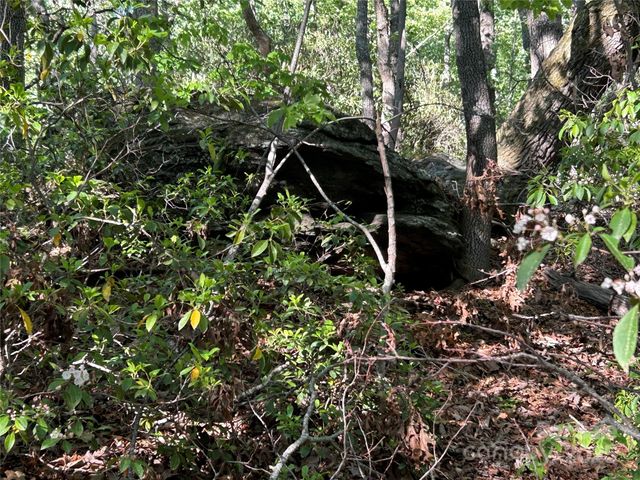 000 John Delk Road 3, Hendersonville, NC 28792