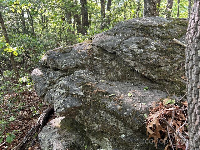 000 John Delk Road 3, Hendersonville, NC 28792