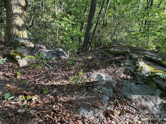 000 John Delk Road 3, Hendersonville, NC 28792