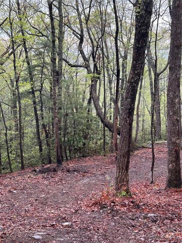 000 John Delk Road 3, Hendersonville, NC 28792