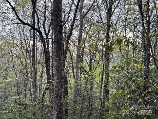 000 John Delk Road 3, Hendersonville, NC 28792