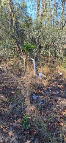 14157 SE 209TH TERRACE, Umatilla, FL 32784