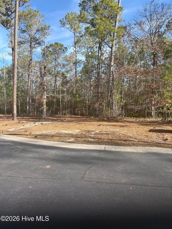 1206 Mandevilla Drive SE, Bolivia, NC 28422