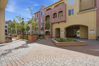 1550 Technology Drive 3080, San Jose, CA 95110