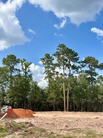 1622 Leona Lane, Todd Mission, TX 77316