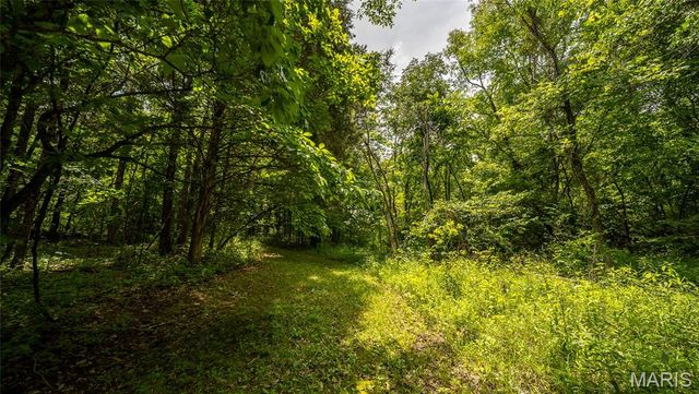 1882 Co Road 234, Fredericktown, MO 63645
