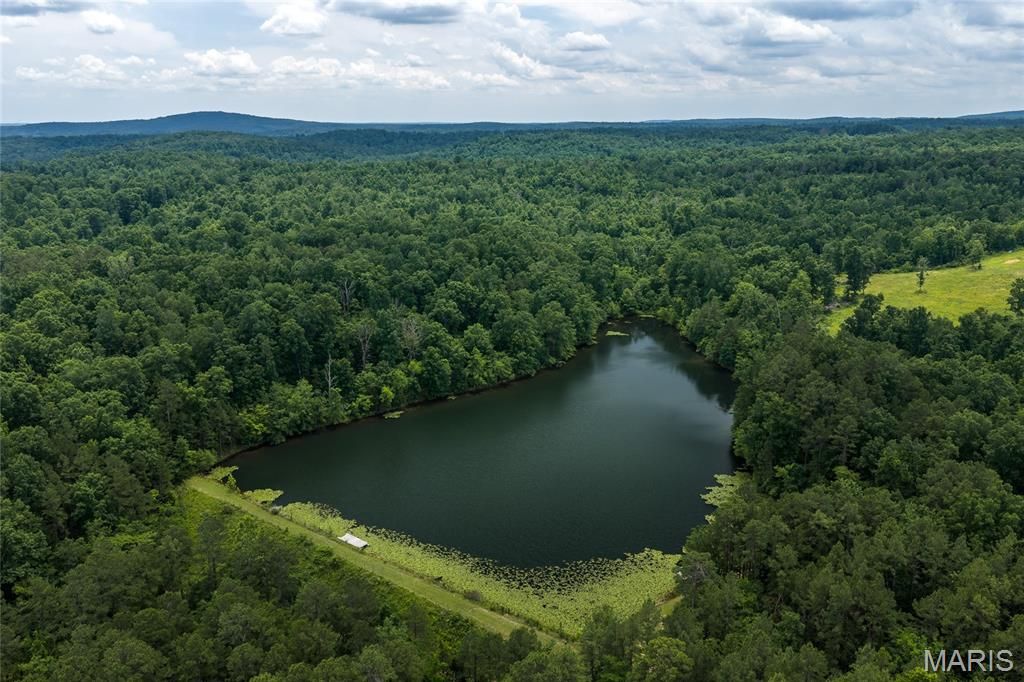 1882 Co Road 234, Fredericktown, MO 63645