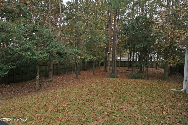 101 Old Dock Landing Road, Sneads Ferry, NC 28460