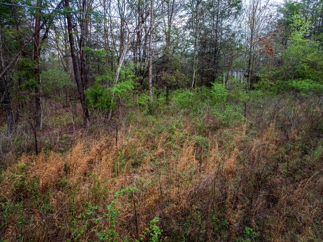 1550 Highway 96, N, Fairview, TN 37062