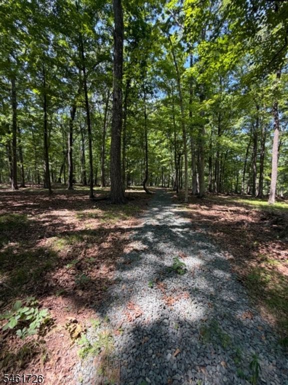 24 Shagbark Ln, Readington Twp., NJ 08889 — exterior