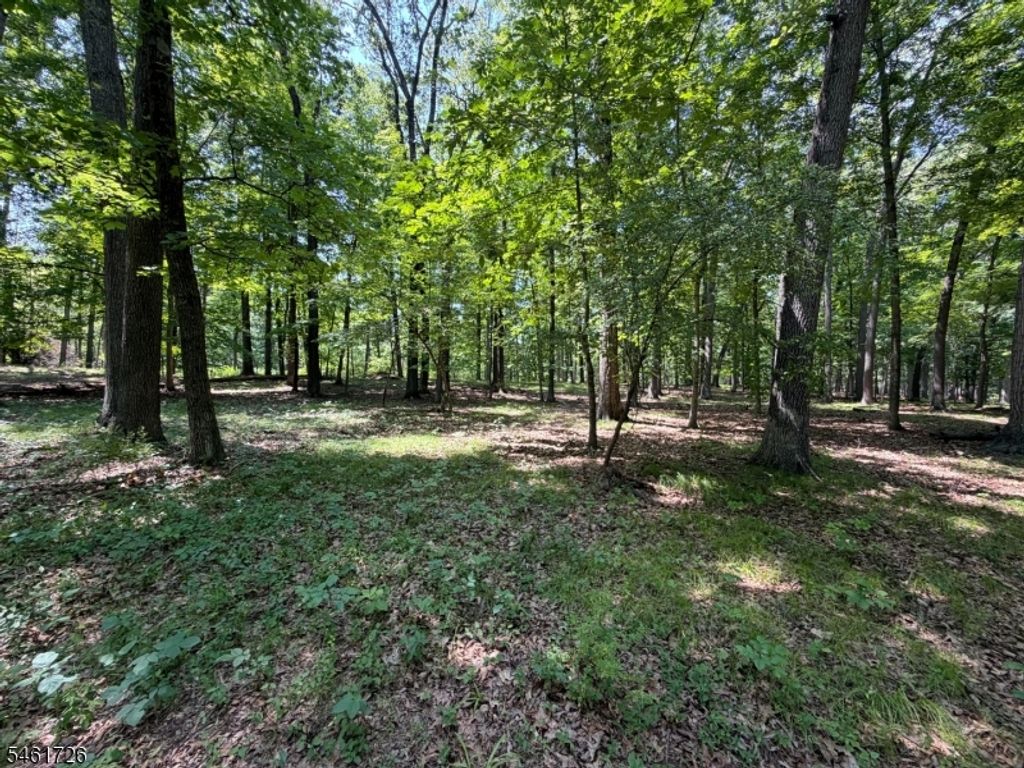 24 Shagbark Ln, Readington Twp., NJ 08889 — photo 2