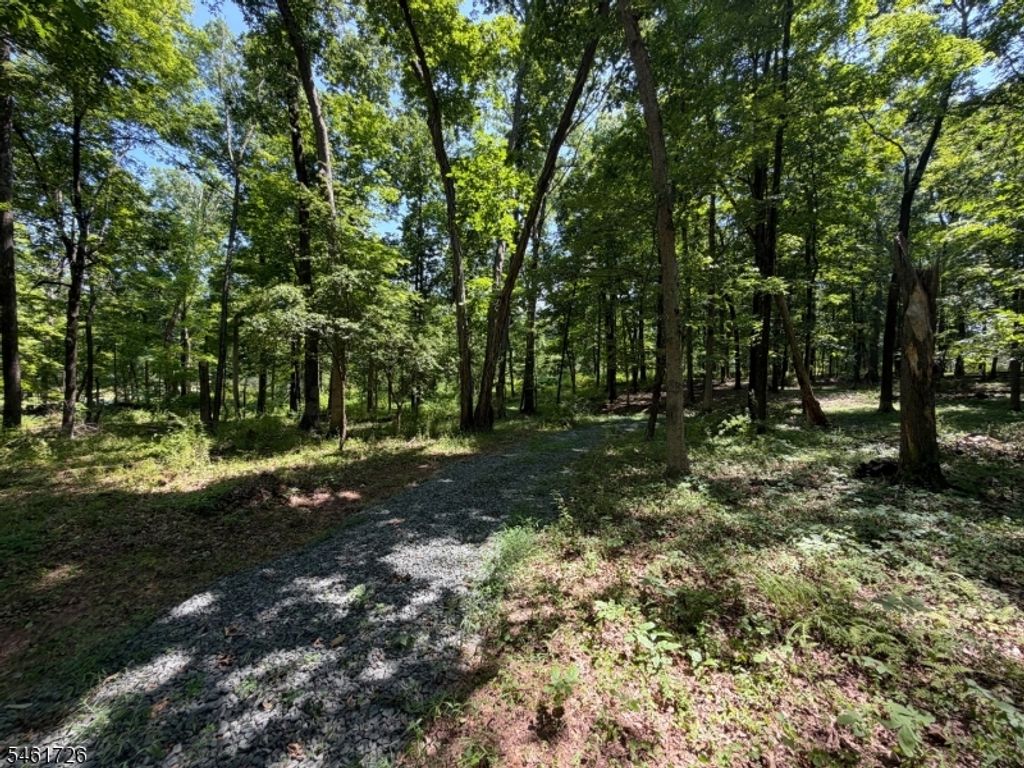 24 Shagbark Ln, Readington Twp., NJ 08889 — photo 4