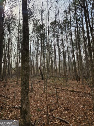 5624 Browns Mill Road, Lithonia, GA 30038