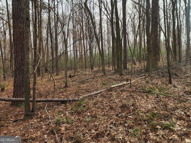 5624 Browns Mill Road, Lithonia, GA 30038