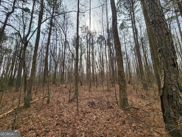 5624 Browns Mill Road, Lithonia, GA 30038