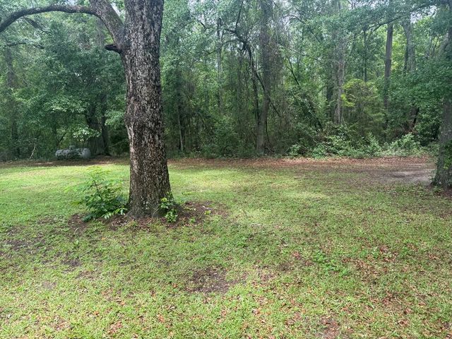 867 N County Road 9, Hartford, AL 36344