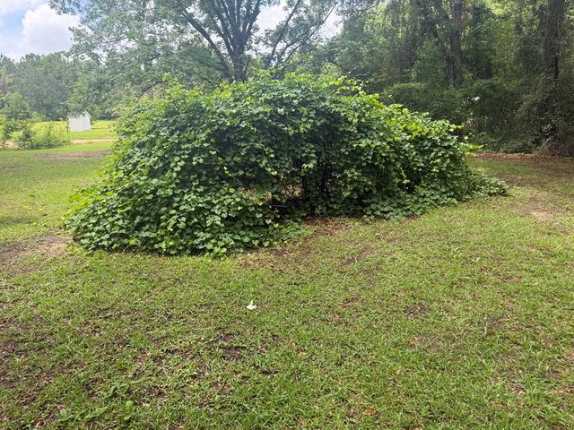 867 N County Road 9, Hartford, AL 36344