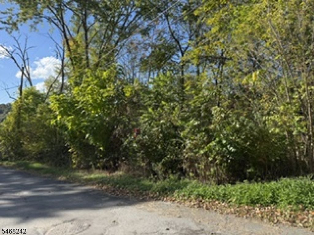 15 Hill St, Sussex Boro, NJ 07461 — photo 3