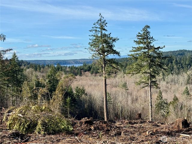 4223 183rd Avenue Ct SW, Longbranch, WA 98351