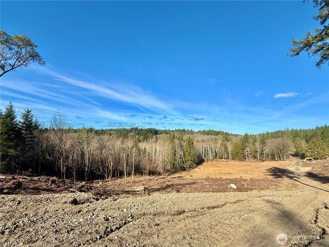 4223 183rd Avenue Ct SW, Longbranch, WA 98351