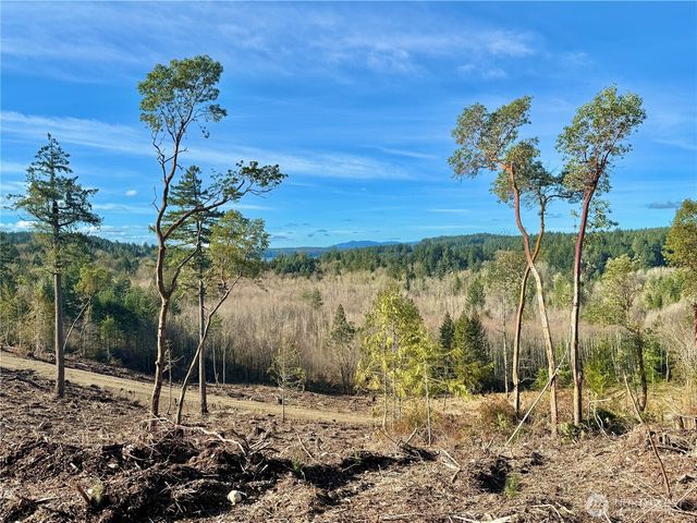 4223 183rd Avenue Ct SW, Longbranch, WA 98351