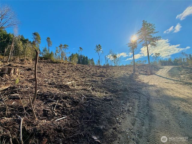 4223 183rd Avenue Ct SW, Longbranch, WA 98351