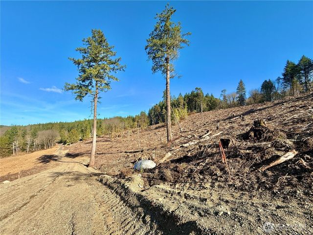 4223 183rd Avenue Ct SW, Longbranch, WA 98351