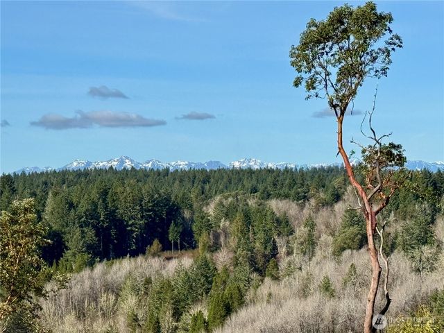 4223 183rd Avenue Ct SW, Longbranch, WA 98351