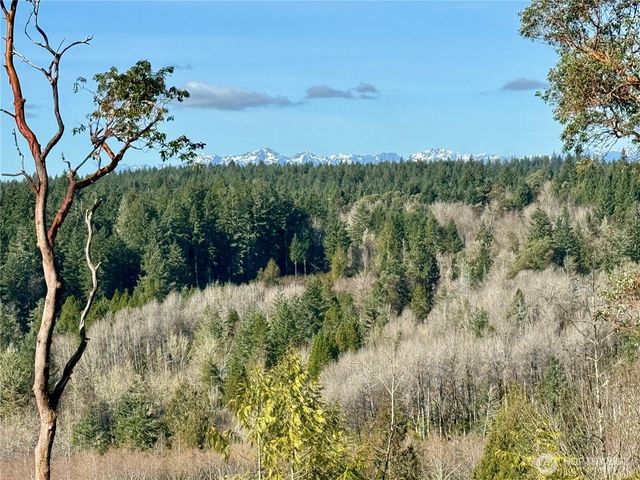 4223 183rd Avenue Ct SW, Longbranch, WA 98351