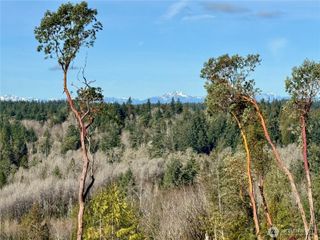 4223 183rd Avenue Ct SW, Longbranch, WA 98351