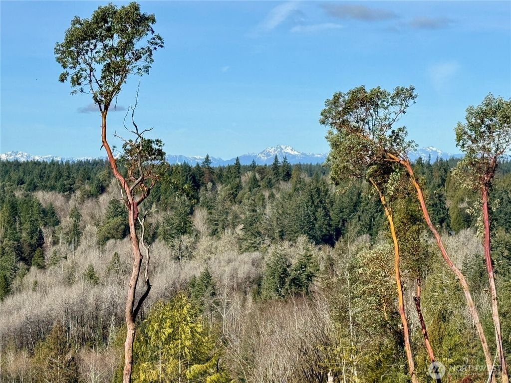 4223 183rd Avenue Ct SW, Longbranch, WA 98351