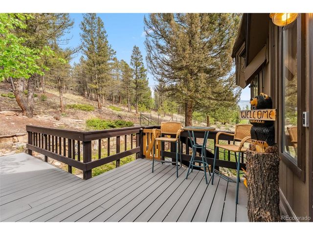 2028 Redhill Rd, Fairplay, CO 80440