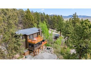 2028 Redhill Rd, Fairplay, CO 80440