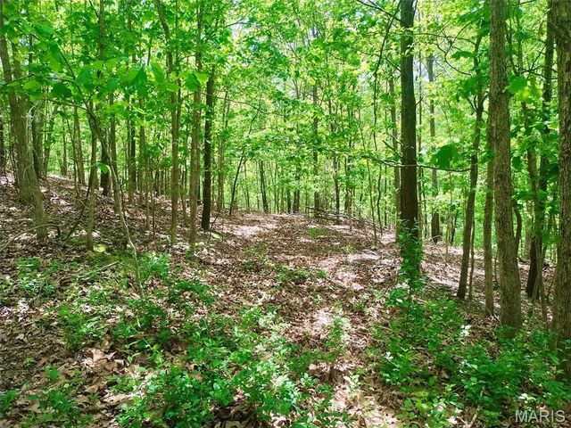 300 Russell Street A & B, Sullivan, MO 63080