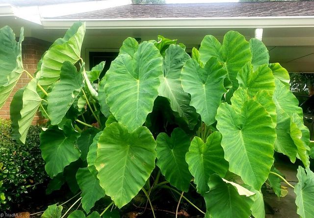 3501 Bates Drive, Winston-salem, NC 27105