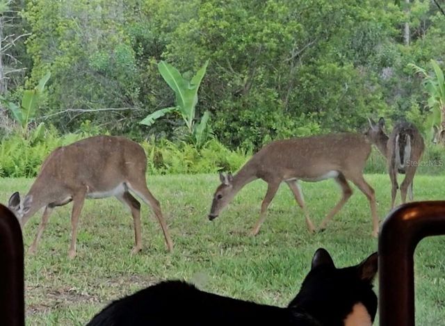 14832 WINDIGO LANE, Orlando, FL 32828