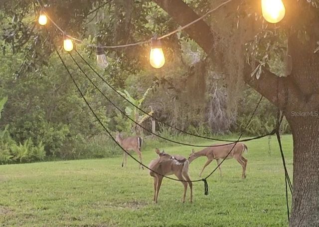 14832 WINDIGO LANE, Orlando, FL 32828