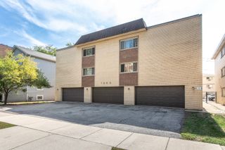 1363 Perry Street 1B, Des Plaines, IL 60016