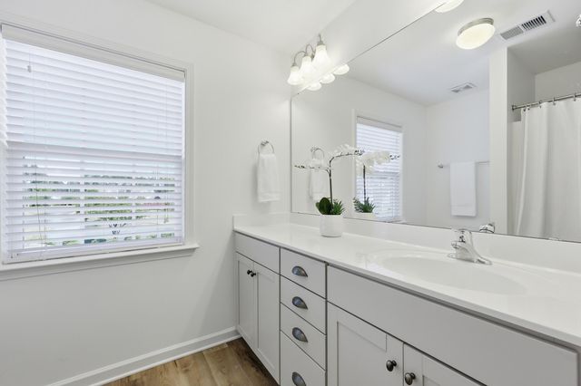 209 Clear Sky Lane, Summerville, SC 29486