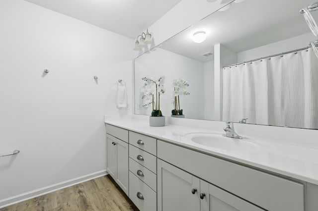 209 Clear Sky Lane, Summerville, SC 29486