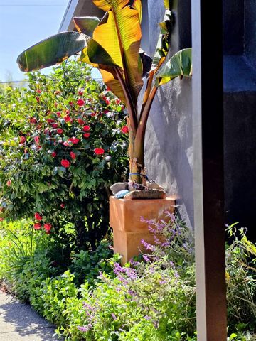 2100 Center Rd, Novato, CA 94947