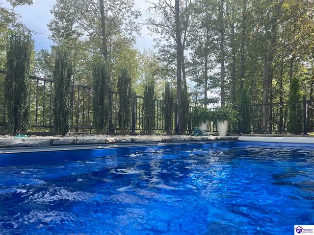 175 Falls Lane, Leitchfield, KY 42754