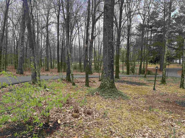 182 Harvest Lane, Austin, AR 72007