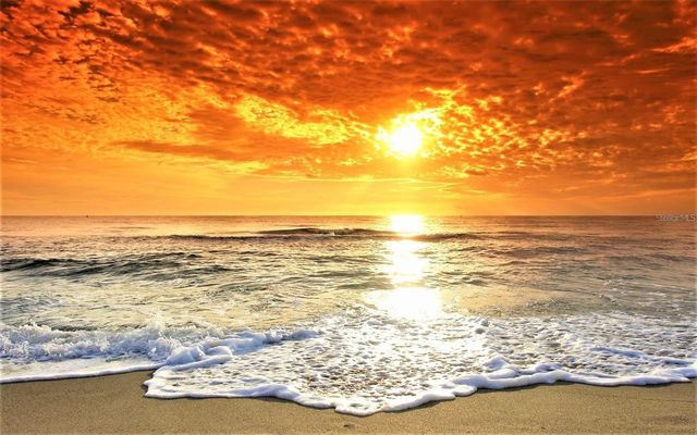 201 BEDFORD STREET 88, Sun City Center, FL 33573