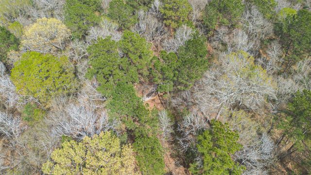 525 County Road 3016, Dayton, TX 77535