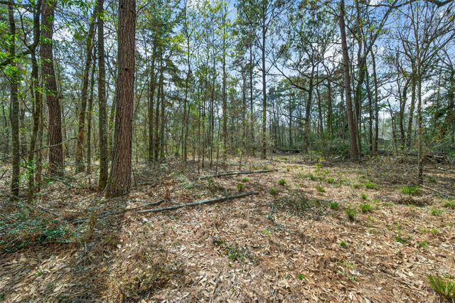 525 County Road 3016, Dayton, TX 77535