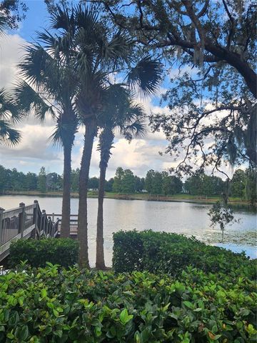 13808 ANCILLA BOULEVARD, Windermere, FL 34786